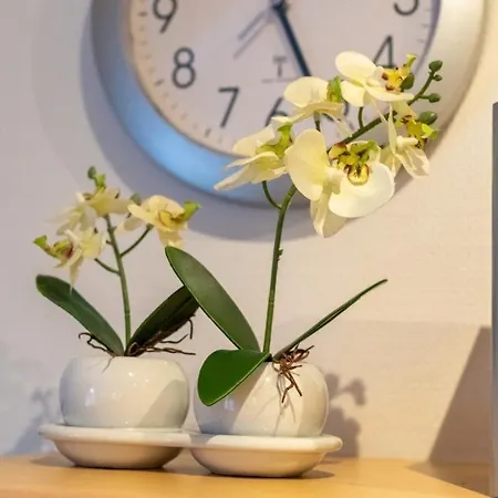 Ferienwohnung-wattlooper * נורדן